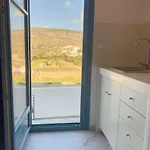 Apartamento Amorgona Katápola